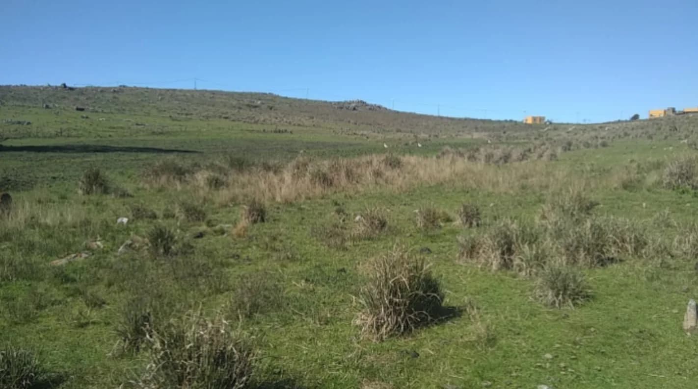 Lote en venta - Cerro Leones - 1